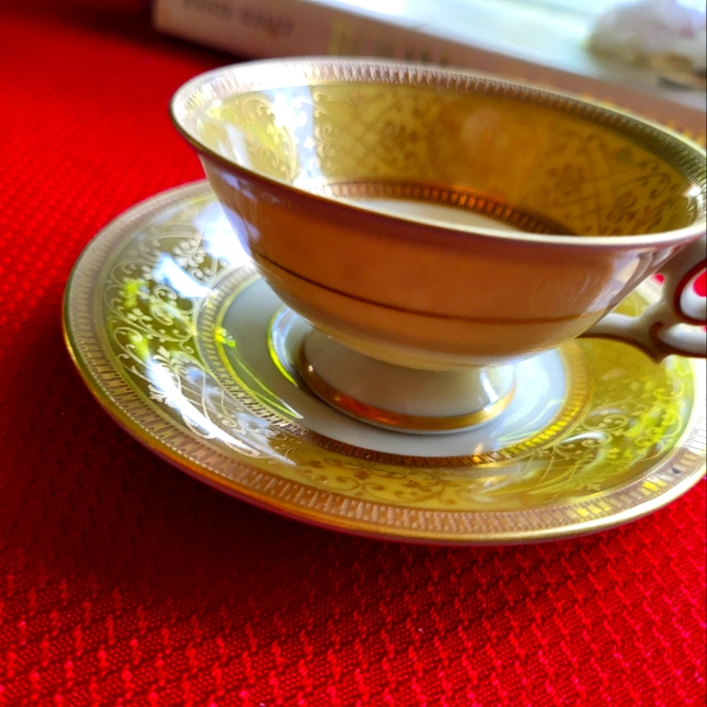 Bavarian china tea cup & Saucer